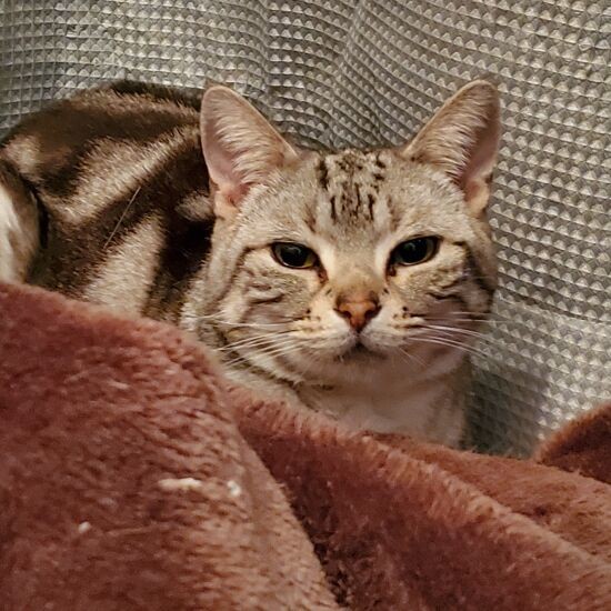 母の不在時、いつも陽気なルビィもどことなくさみしそうでした