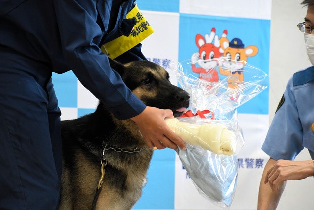 おやつをもらってうれしそうなジューク号=2021年9月2日午前9時58分、吉野署、渡辺七海撮影