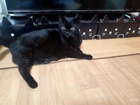 「病院こわい、でもいかないといけない時もある」