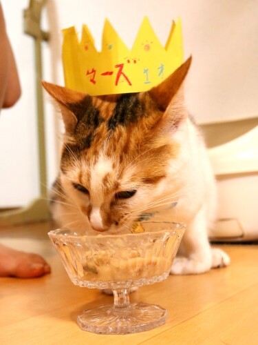 誕生祝いの冠が似合いますね(Aさん提供)