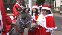 クリスマス衣装で動物たちがパレード 岡山・池田動物園