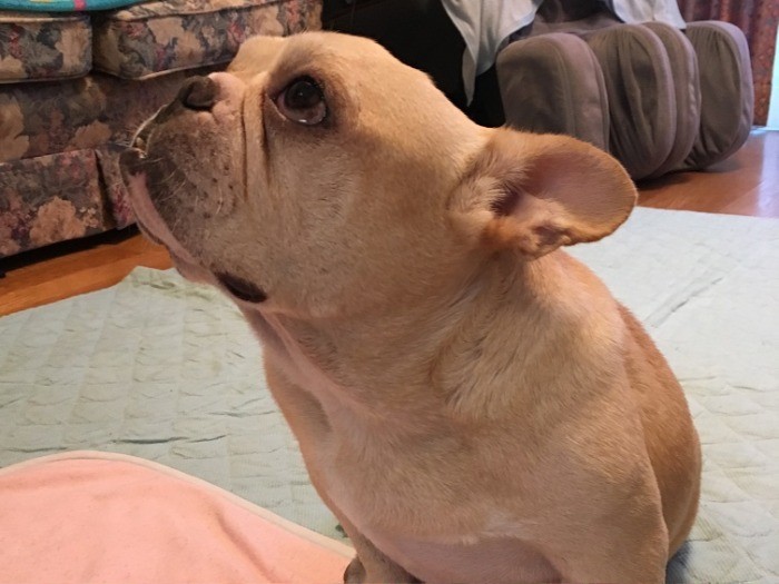 ママとおしゃべりしてるの