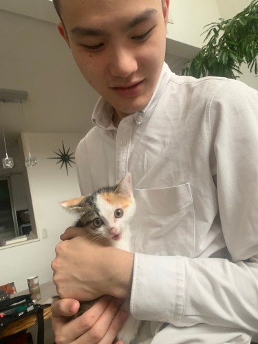 虎汰郎兄ちゃんの大きな手に抱かれるチム「あたしを彼女にしにゃい?」(優香さん提供)