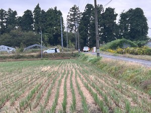 【続報】宮城・色麻町「わなにかかった子グマから離れない親グマ」 親グマを駆除