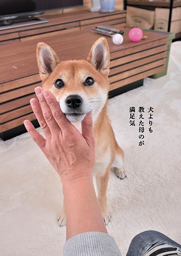 「犬よりも 教えた母のが 満足気」human's eyesより(辰巳出版提供)