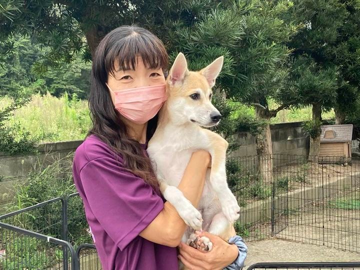 空き家を犬猫のシェルターにリノベ 里親探しに奮闘する“犬殺処分数ワースト1”香川県のボランティア