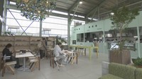 大手芸能プロダクション・アミューズが豊島にカフェレストランをオープン 香川