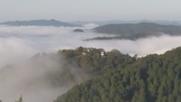 備中松山城で見られる「雲海」の発生をAIで予報 10月から高梁市のHPなどで公開予定 岡山