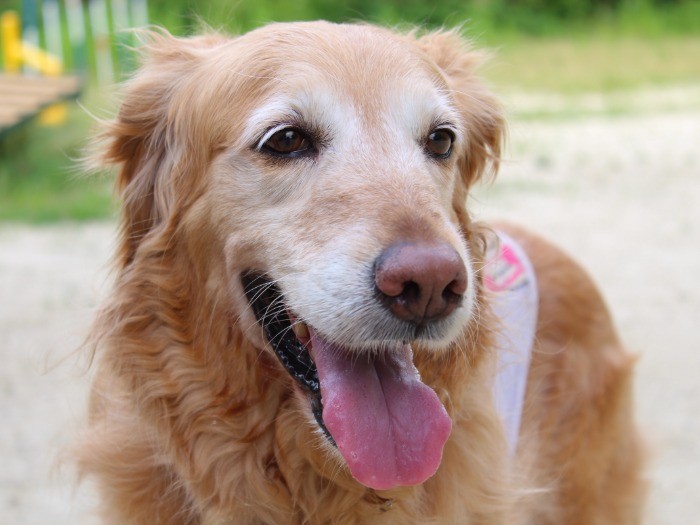 春陽という名前が、お似合い