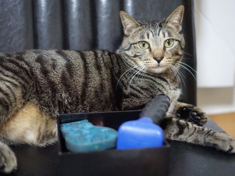 2度の冬を越えておとなになりました