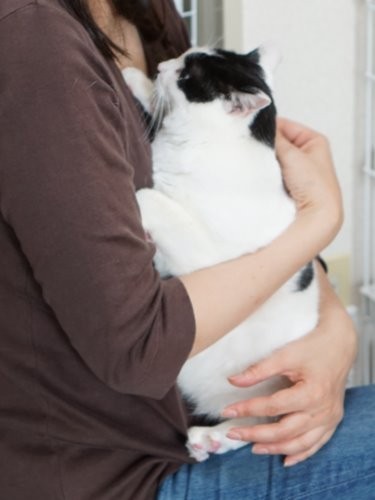 おとなしく抱かれるナナ