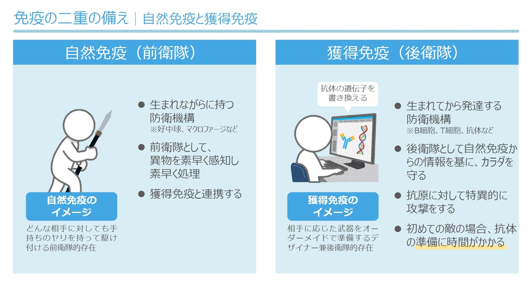自然免疫と獲得免疫