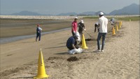 素足で歩ける砂浜を次の世代に残そう 海水浴場の清掃活動 香川・観音寺市