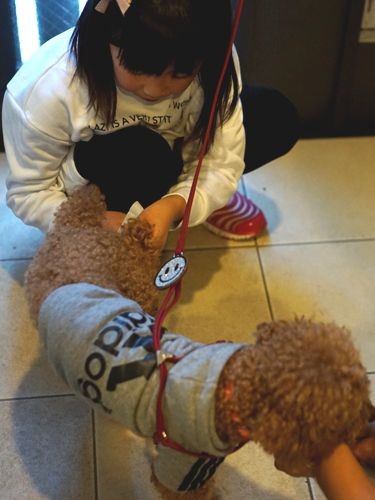 外から戻って足を拭いてあげます