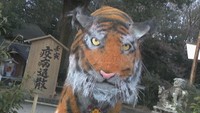 リアルさが話題!神社に現れた巨大な「寅」 香川・まんのう町