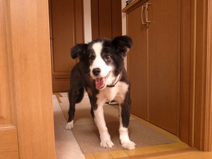 今日は僕の取材なの?