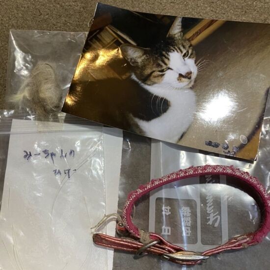 みーちゃんのひげは、今も大事にとってある(真由子さん提供)