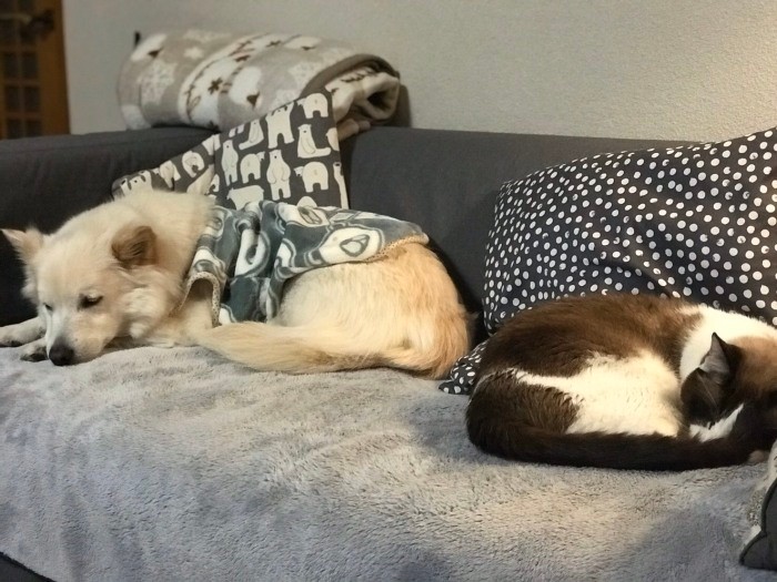 やってきて間もない頃〔写真提供展子さん〕