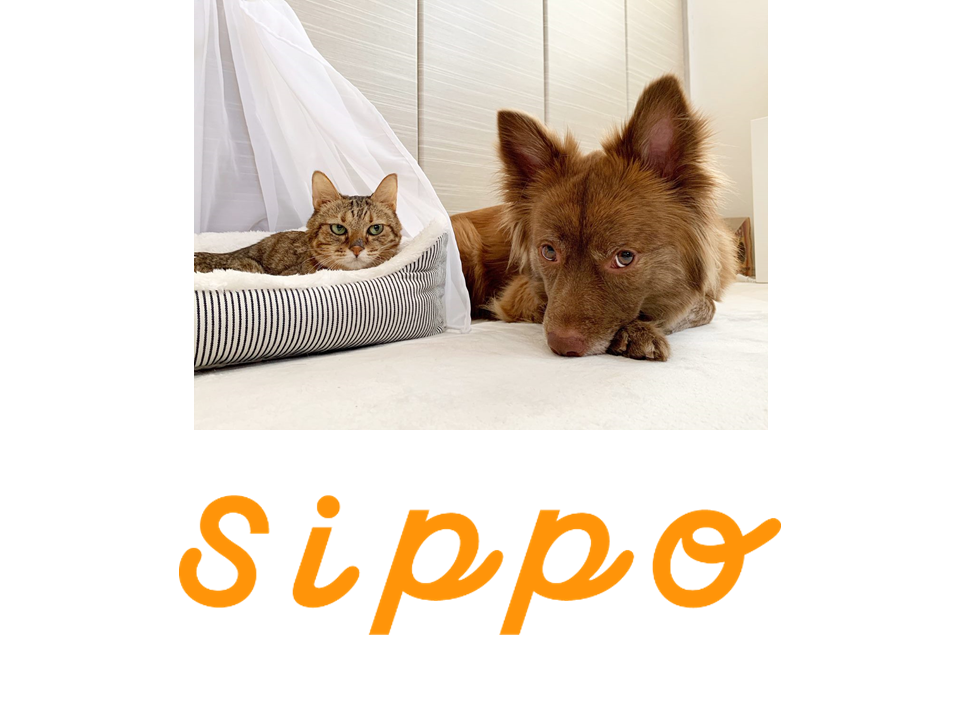 sippo