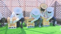 岡山市中心部で養蜂開始 JR岡山駅前に続き2カ所目 7月末までに約150kgのハチミツを採蜜見込み