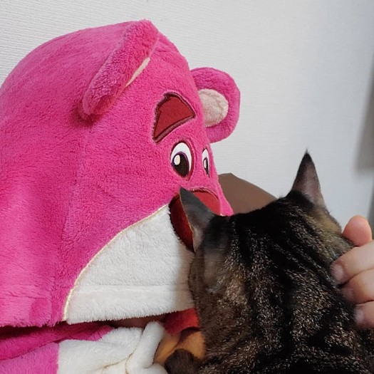 「俺たちのママはロッツォ(トイストーリーに出るクマ)だったの?」(けっこう着ぐるみ好き)