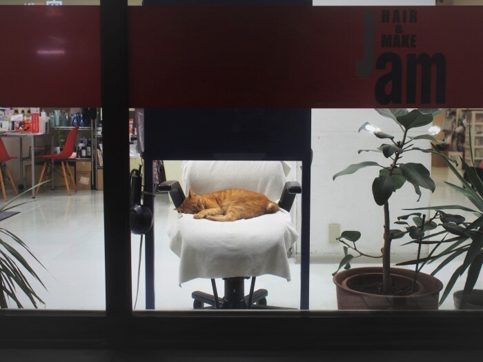 そろそろ閉店時間。ファンサービスで眠くなったトゥエルブ