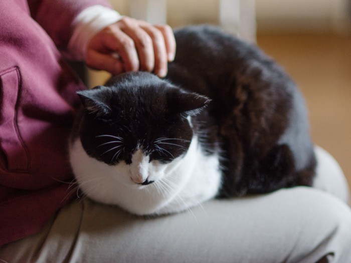 「お腹が鳴ったよ。おばちゃんお腹すいているの?」(小林写函撮影)