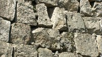 丸亀城の石垣にさらなる崩落の恐れ 専門家が「排水対策」を訴え 香川