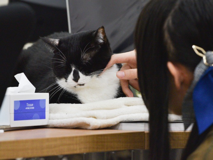 あちらでヨシヨシ