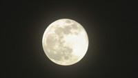 見た?夜空に輝く“ピンクムーン” 5月には最も大きい”スーパームーン”も