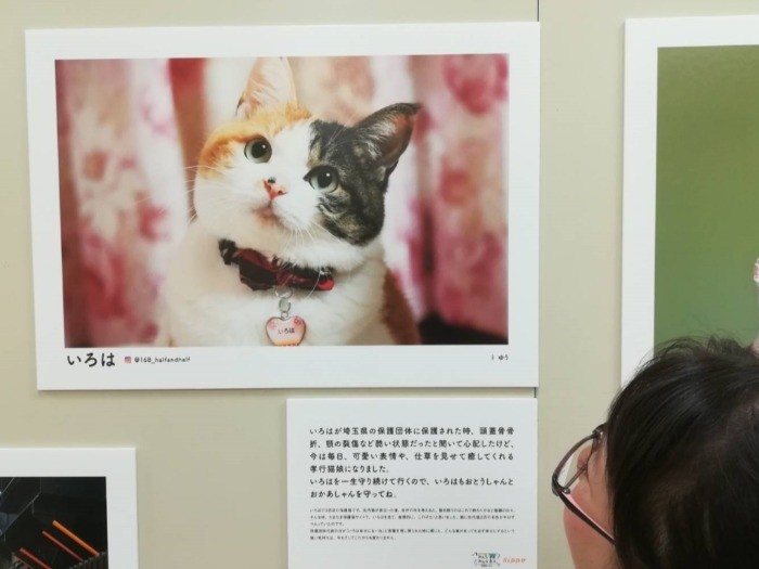 和香子ママの憧れ「いろは」ちゃん(夏の写真展で)