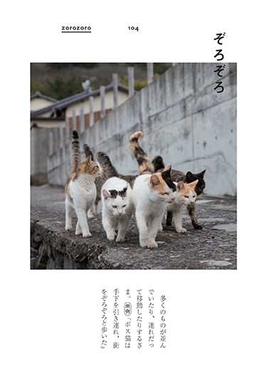 「ぎおんご ぎたいご にゃんこ」より(沖昌之撮影、青春出版社提供)