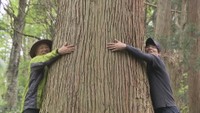 「森に抱っこしてもらう」非日常体験を 岡山県北西部の新庄村で森林浴【いまココ!ナビ】