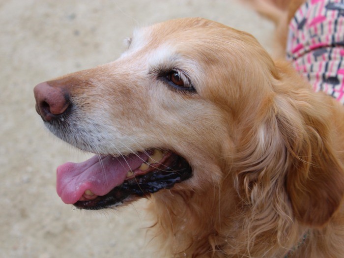 いまは、とにかく幸せ