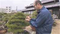 海外からも人気!YouTube登録者数2万人超 “鬼無”にいる「盆栽の鬼」 高松市