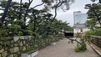 台風15号の影響で被害 玉藻公園の松の木が倒れる 香川・高松市