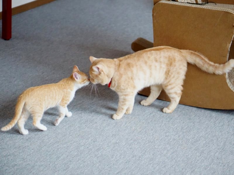 次は何して遊ぶ?