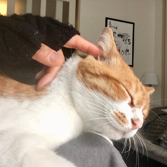 Yさんの毎朝のコーヒータイムにそばで過ごすのがルーチン(Yさん提供)