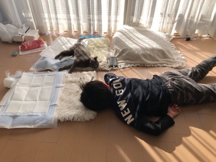 「何かあればおかぁを助けるのにゃよ」(まみさん提供)