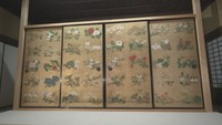 修復終えた伊藤若冲「百花図」公開 緻密な描写がより鮮明に 金刀比羅宮で8日から特別展 香川
