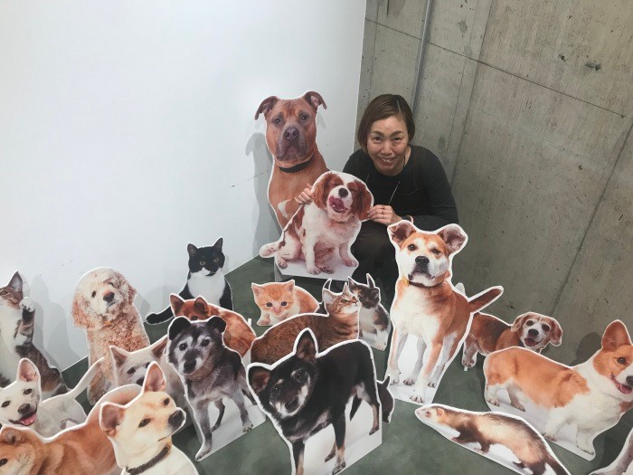 多頭飼育はできないからせめてパネルに埋もれたい