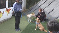 小学生が犬猫の命の大切さを考える 保護犬などについて学び訓練施設も見学 岡山市