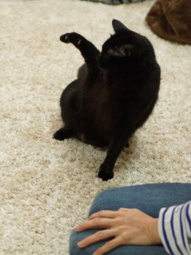 んじちゃーびら(さよなら)沖縄