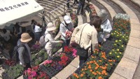 みどりの日 岡山市の植物園が無料開放 緑や花に親しむイベント