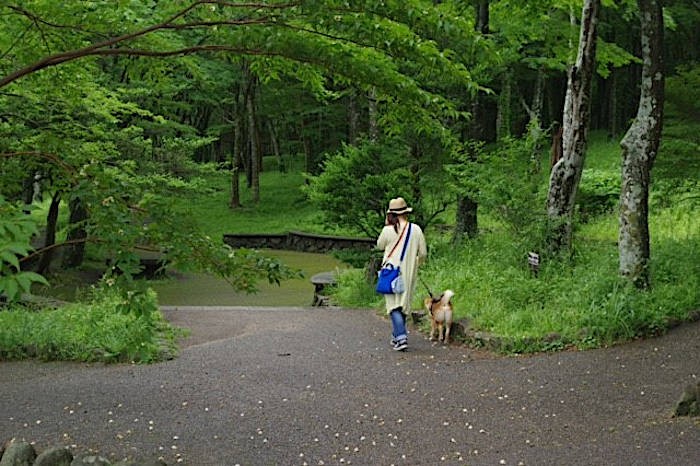 リハビリ中のお散歩シーン