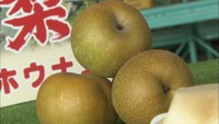 名産「ホウナンの梨」出荷始まる 香川・観音寺市豊浜地区