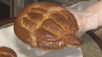 なぜ?いまカブトガニがSNSで話題 習性紹介の動画に反響、“やばい饅頭”は注文急増 岡山