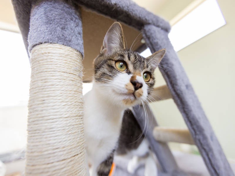 格好良く撮るからね