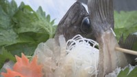 高校生が循環型農法で育てたメバルを初出荷 魚と植物を同時に育てる「アクアポニックス」