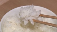 「洗いすぎには注意」お米をおいしく炊く方法や洗い方などを専門家がアドバイス 香川